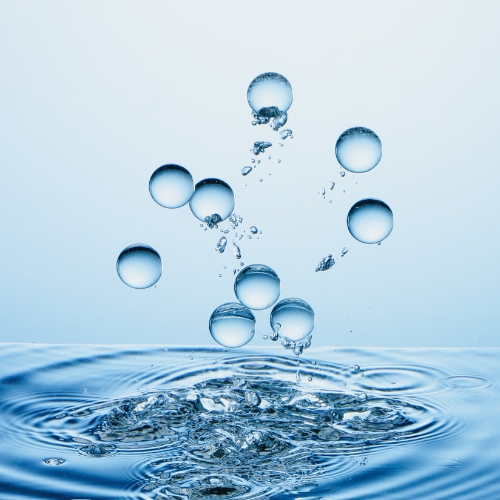Rain Water Harvesting